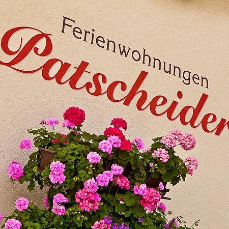 Ferienwohnungen Appartements Patscheider Финкенберг Экстерьер фото
