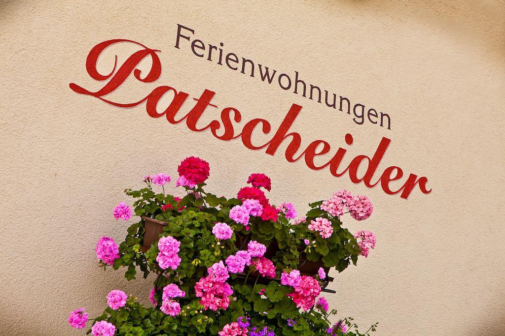 Ferienwohnungen Appartements Patscheider Финкенберг Экстерьер фото